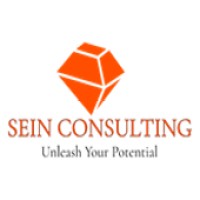 SEIN CONSULTING