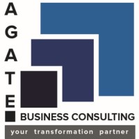 Agate Business Consulting logo - Similar company to B2N Management Consulting Pvt. Ltd.