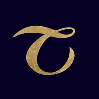 Titanus logo - Similar company to Phoenix Esd S.R.L.