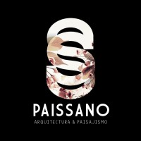 Paissano logo - Similar company to Veraarchitecture