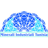 Minerali Industriali Tunisia (MIT) logo - Similar company to Inraptn
