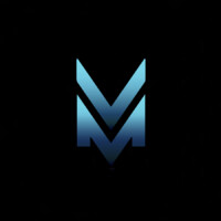 VISION MILLENNIUM logo - Similar company to Init ( ) Association