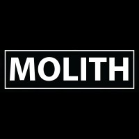 MOLITH Engineering logo - Similar company to Robomatech