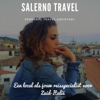 Salerno Travel logo - Similar company to Folday