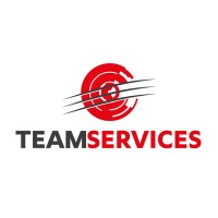 TEAMSERVICES logo - Similar company to Art Camp Distribution