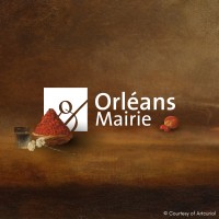 Ville d'Orléans logo - Similar company to Excelia