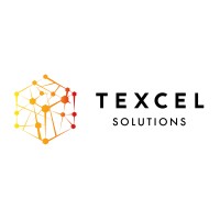 TEXCEL Solutions logo - Similar company to Domotion