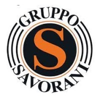 Gruppo Savorani Immobiliare logo - Similar company to Holive, Case Da Vivere