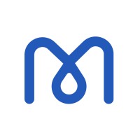 MIPE Solutions logo - Similar company to Blackstar