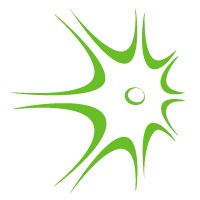Synapsa Networks logo - Similar company to Cognitechna