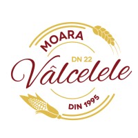 Moara Vâlcelele logo - Similar company to Vlavi Cons