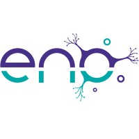 European Neurotrauma Organisation (ENO) logo - Similar company to Concussion Corner Academy®