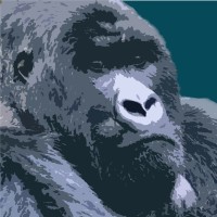 Blue Gorilla Giving Consultancy logo - Similar company to Nomad Cyprus