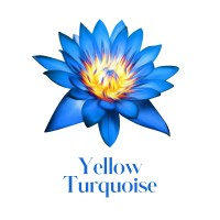 Yellow Turquoise logo - Similar company to Km
