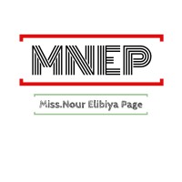 MNEP logo - Similar company to Mc Ilroy Northern Electrical Projects