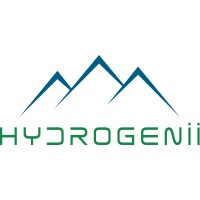 Hydrogenii Canada, Inc. logo - Similar company to Tech Canada Advocates