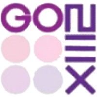 gonex logo - Similar company to Gonex Danışmanlık Ve Teknoloji Ltd. Şti.