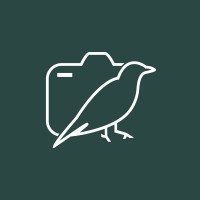 Oiseau Bondissant logo - Similar company to Ips Conseil