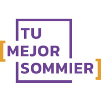 Tu Mejor Sommier logo - Similar company to Grupo Dmg - Abogados