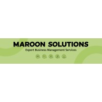 MS Maroon Solutions Ltd. logo - Similar company to Payfrank