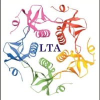 LET'S TALK ACADEMY logo - Similar company to Letstalk