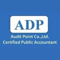 Audit Point Co.,Ltd. logo - Similar company to Audit Point
