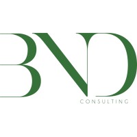 BND Consulting™ logo - Similar company to Digitalundivided
