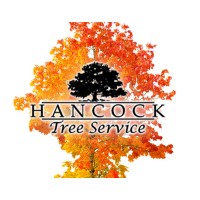 Hancock Tree Service logo - Similar company to 5Th Security Force Assistance Brigade