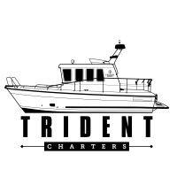 Trident Charters logo - Similar company to Igntion Agencies Ltd
