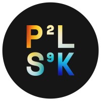 P2LS9K GmbH logo - Similar company to J&P Media Labs Gmbh