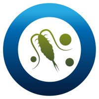 Exploring Ocean Iron Solutions - ExOIS logo - Similar company to Selectri