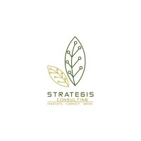 Strategis Consulting logo - Similar company to Forager Automation