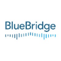 BlueBridge Search logo - Similar company to Deanes