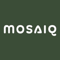 Mosaics Institute logo - Similar company to Richard Mejia Family Foundation