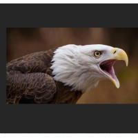 WARD LEONARD CT LLC logo - Similar company to Thermo Group