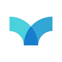 Vyzeo logo - Similar company to Intagras