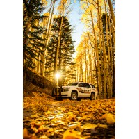 Coconino County Sheriff's Office (Patrol) logo - Similar company to Yavapai County Sheriff