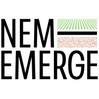 NEM-EMERGE logo - Similar company to Allegro For Export & Import