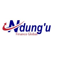Ndung'u Finance Global logo - Similar company to Ng-Cdf Board Kenya