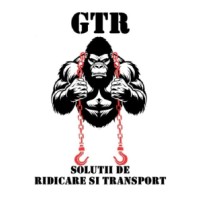 GTR SOLUTII DE RIDICARE SI TRANSPORT S.R.L. logo - Similar company to Consulttech Solutions Srl
