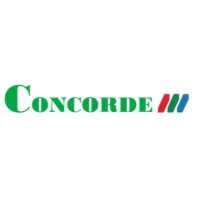 Concorde International Group Limited logo - Similar company to Concorde Security Pte Ltd