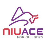 NiuAce logo - Similar company to Borderless Geek