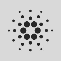 Cardano Foundation logo - Similar company to Tezos Foundation