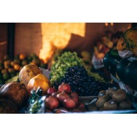 NOURISHMENT WORKS PC logo - Similar company to Grace Therapy Center