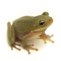 Liip.co logo - Similar company to Stormsure Ltd