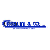 CASALINI & CO s.r.l logo - Similar company to Worldmec