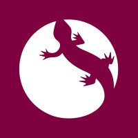 DEMOSTEN logo - Similar company to Demcy