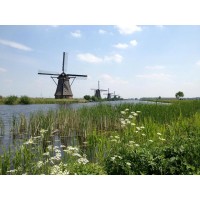 arian tejarat mana logo - Similar company to Rasa Co