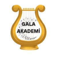 Tc Meb Özel Gala Güzel Sanatlar Kursu logo - Similar company to Stüdyo Akademi