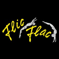 Flic Flac - Action, Adrenalin & Artistik logo - Similar company to 1991 Project